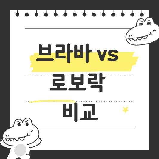 브라바 로보락 비교