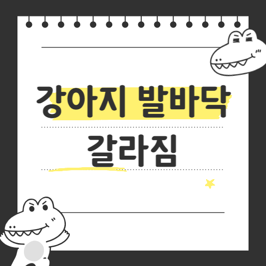 강아지 발바닥 갈라짐