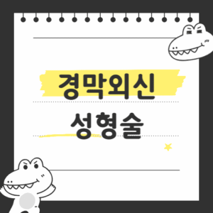 경막외신 성형술