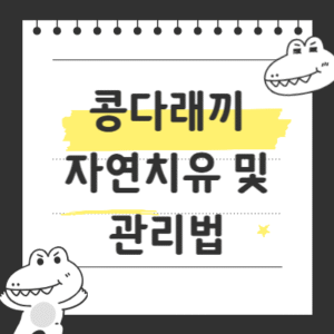 콩다래끼 자연치유 및 관리법