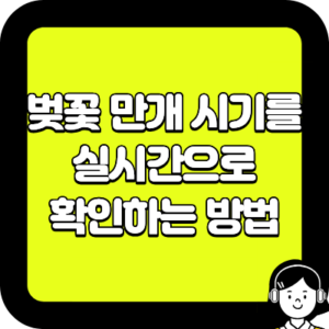 벚꽃 만개 시기를 실시간으로 확인하는 방법
