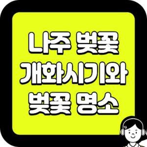 나주 벚꽃 여행 완벽 가이드