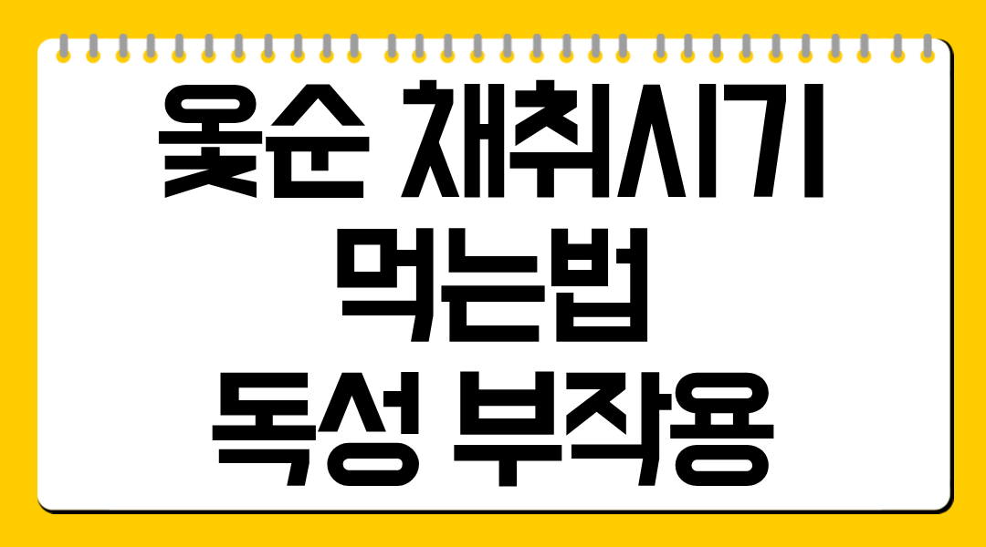 옻순 채취시기·먹는법