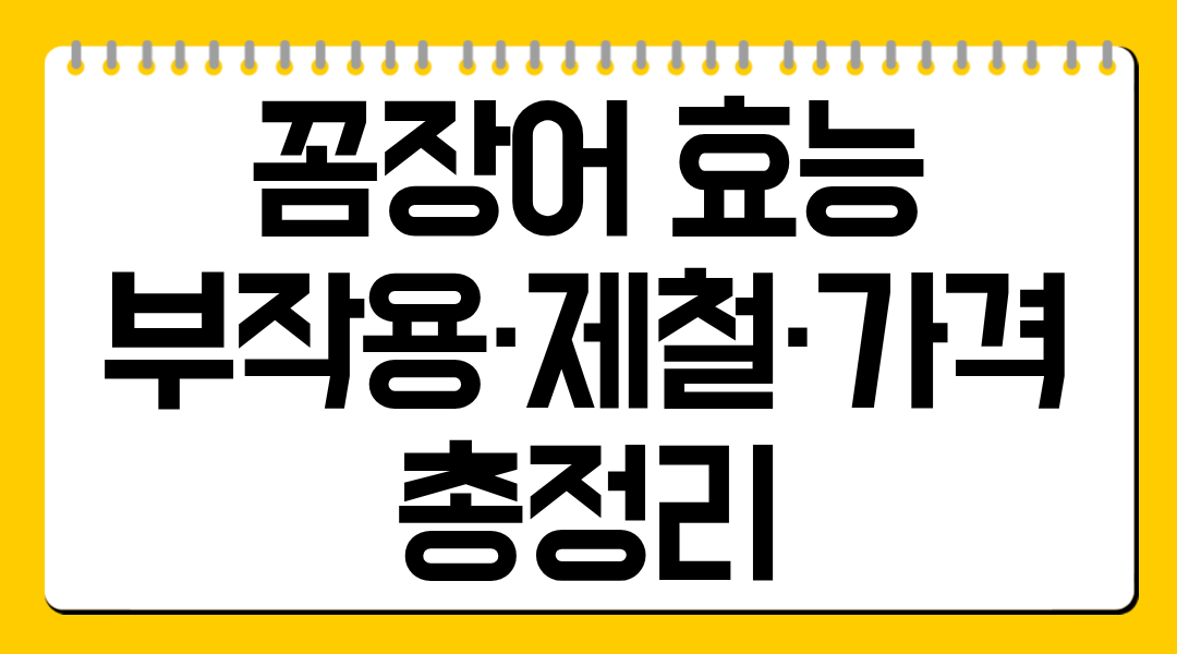 꼼장어 효능·부작용·제철·가격 총정리