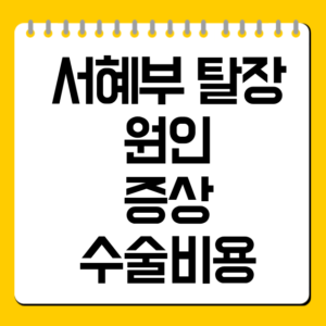 서혜부 탈장 원인·증상·수술비용