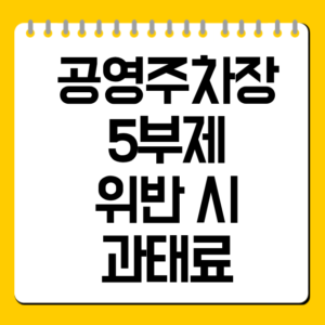공영주차장 5부제 위반 시 과태료