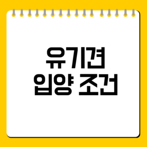 유기견 입양 조건 