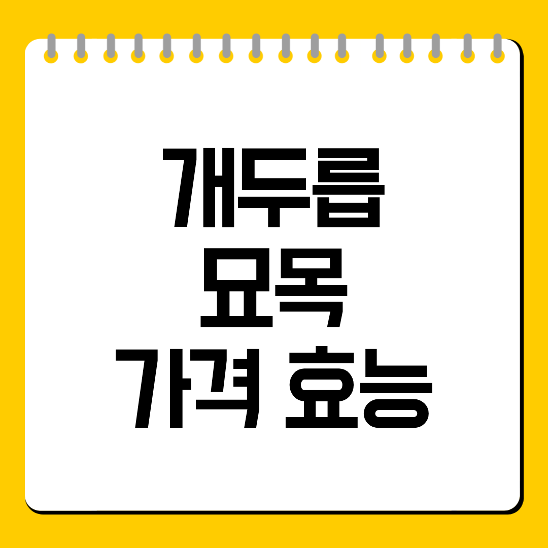개두릅 묘목 가격 효능 총정리, 1그루 얼마인지와 먹을 때 주의점까지