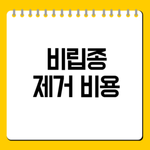 비립종 제거 비용