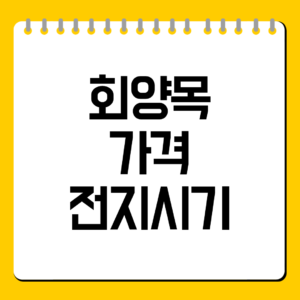 회양목 가격 전지시기