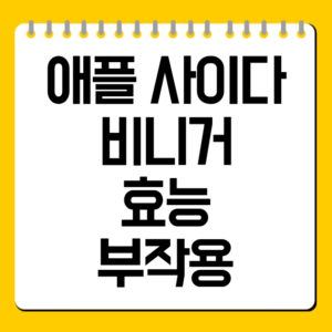 애플 사이다 비니거 효능 부작용