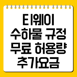 티웨이 수하물 규정 총정리, 무료 허용량·추가요금 한눈에 확인