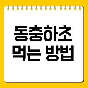동충하초 먹는 방법