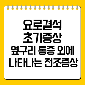 요로결석 초기증상 총정리｜옆구리 통증 전 나타나는 신호는?