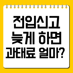 전입신고 늦게 하면 과태료 얼마? 14일 기준과 면제 가능성 정리