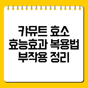 카뮤트 효소 효능·복용법·부작용 총정리