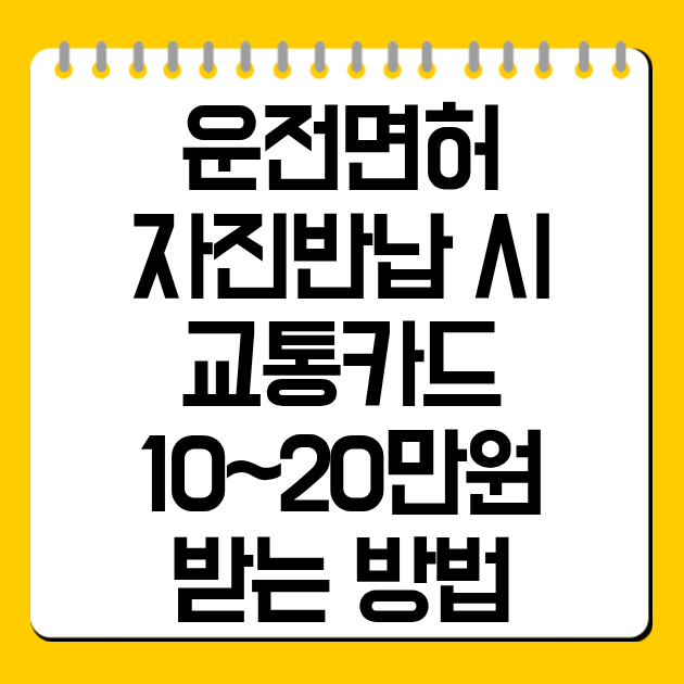 운전면허 자진반납 시 교통카드 10~20만원 받는 방법
