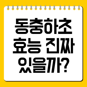동충하초 효능 진짜 있을까?