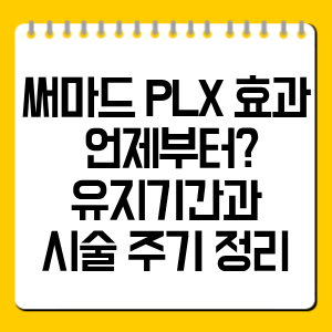 써마드 PLX 효과 언제부터? 유지기간과 시술 주기 정리