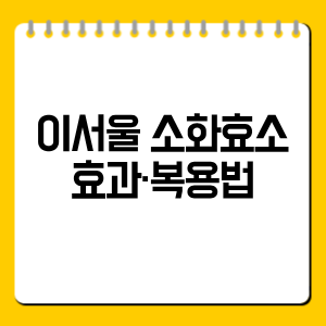 이서울 소화효소 효과·복용법