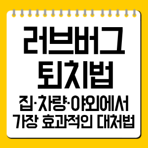 러브버그 퇴치법 총정리|집·차량·야외에서 가장 효과적인 대처법
