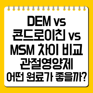 DEM 콘드로이친 MSM 비교｜관절영양제 선택법