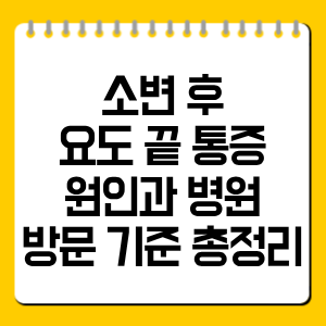 소변 후 요도 끝 통증 원인과 병원 방문 기준 총정리
