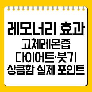 레모너리 효과 총정리｜다이어트·붓기·고체레몬즙 실제 체감 포인트