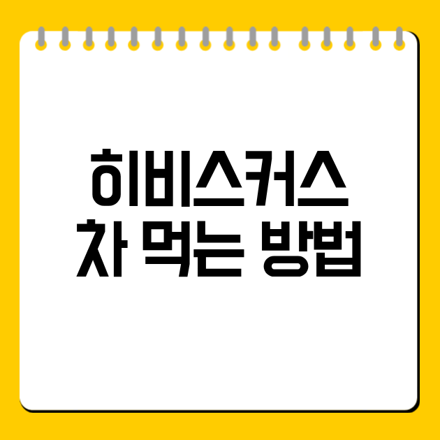 히비스커스 차 먹는 방법