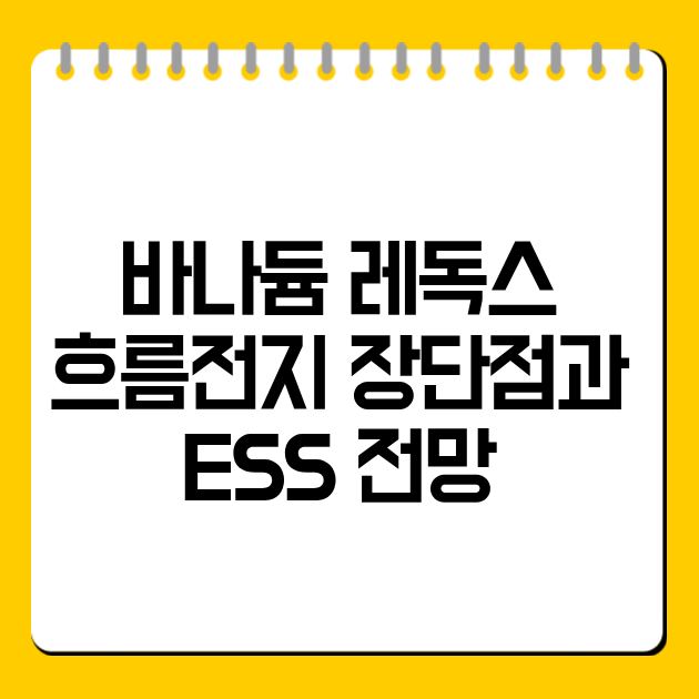 바나듐 레독스 흐름전지 장단점과 ESS 전망