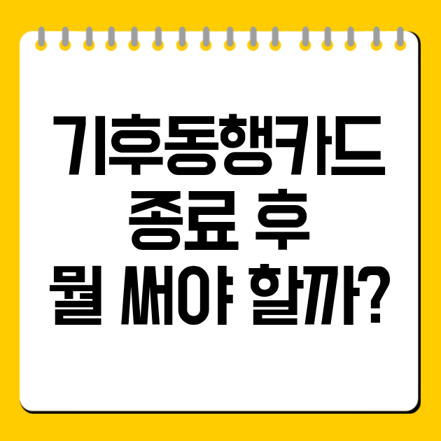 기후동행카드 종료 후 뭘 써야 할까?