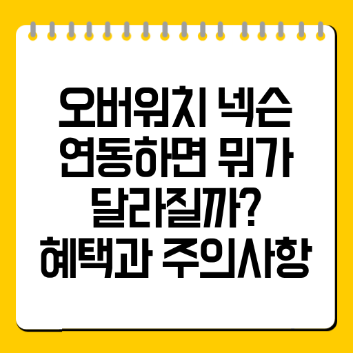 오버워치 넥슨 연동하면 뭐가 달라질까? 혜택과 주의사항 정리
