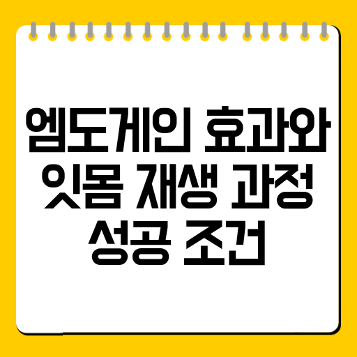 엠도게인 효과와 잇몸 재생 과정·성공 조건