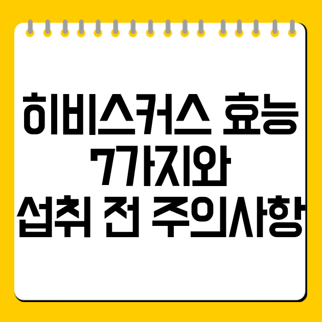 히비스커스 효능 7가지와 섭취 전 주의사항